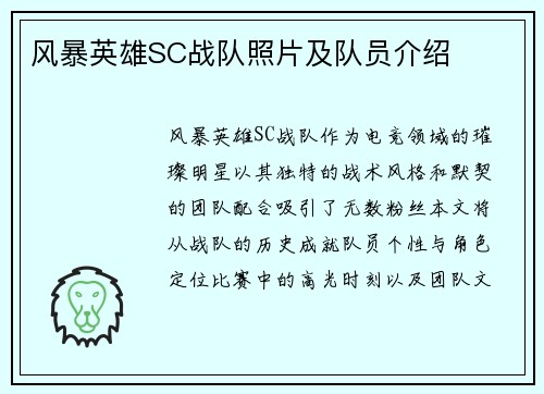 风暴英雄SC战队照片及队员介绍